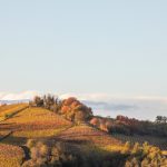 Esperienze d’autunno in Langhe Monferrato Roero