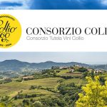 Settembre inizia alla grande in Collio con la vendemmia e un fitto programma di eventi autunnali