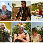 G7 Agricoltura: anche i Vignaioli Indipendenti protagonisti a Siracusa al Divinazione Expo 2024