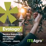 EVOlogo – Tecnico Superiore in management del settore olivicolo oleario” la nuova figura professionale