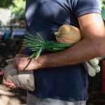 A Messina l’8 e 9 novembre ritorna Mangia e Cambia, la festa della cultura agroalimentare siciliana