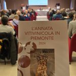 Presentata L’Annata Vitivinicola in Piemonte 2024: + 5% sulla produzione vino, bene i rossi Dop all’estero