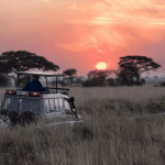 African e World Explorer: anno nuovo, viaggi nuovi